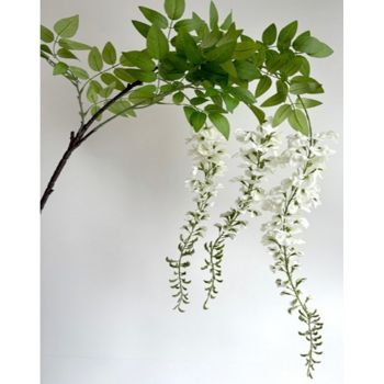 Large Wisteria Spray (Single Stem Flower) - Plastic - Height 180 cm - White