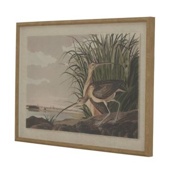 Flora & Fauna Collection Curlews on Linen in Beaded Frame - Glass - L2 x W62 x H45 cm - Brown