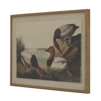 Flora & Fauna Collection Pochards on Linen in Beaded Frame - Glass - L2 x W62 x H45 cm - Brown