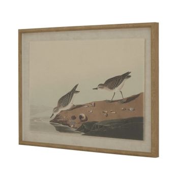 Flora & Fauna Collection Stints on Linen in Beaded Frame - Glass - L2 x W62 x H45 cm - Brown