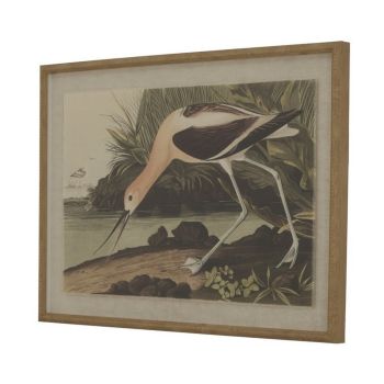Flora & Fauna Collection Avocet on Linen in Beaded Frame - Glass - L2 x W62 x H45 cm - Brown