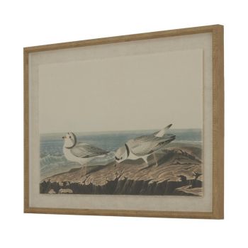 Flora & Fauna Collection Plovers on Linen in Beaded Frame - Glass - L2 x W62 x H45 cm - Brown