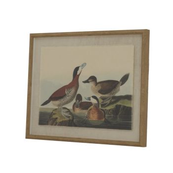 Flora & Fauna Collection Ducks on Linen in Beaded Frame - Glass - L2 x W40 x H50 cm - Brown
