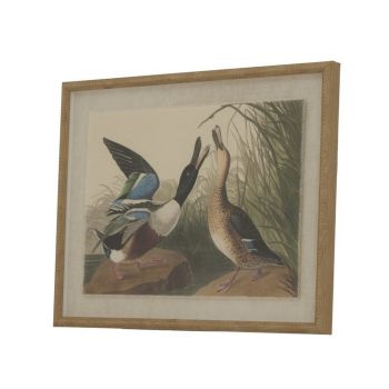 Flora & Fauna Collection Mallards on Linen in Beaded Frame - Glass - L2 x W40 x H50 cm - Brown