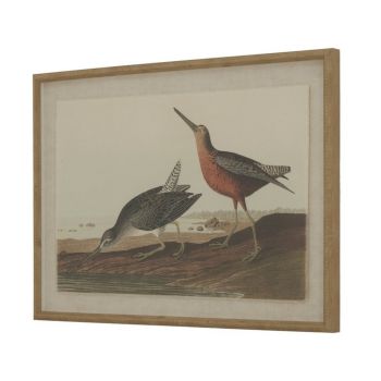 Flora & Fauna Collection Snipes on Linen in Beaded Frame - Glass - L2 x W62 x H45 cm - Brown