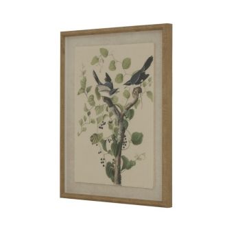Flora & Fauna Collection Shrikes on Linen in Beaded Frame - Glass - L2 x W40 x H50 cm - Brown