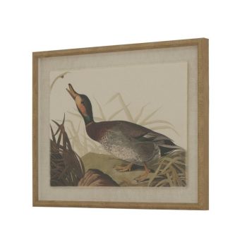 Flora & Fauna Collection Duck on Linen in Beaded Frame - Glass - L2 x W40 x H50 cm - Brown