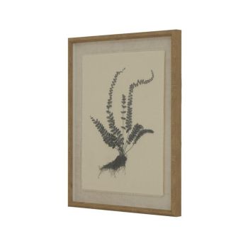 Flora & Fauna Collection Spleenwort on Linen in Beaded Frame - Glass - L2 x W40 x H50 cm - White
