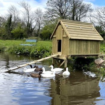 4 x 5 Bank Side Duck House - Pressure Treated Timber - L110 x W159 x H144 cm