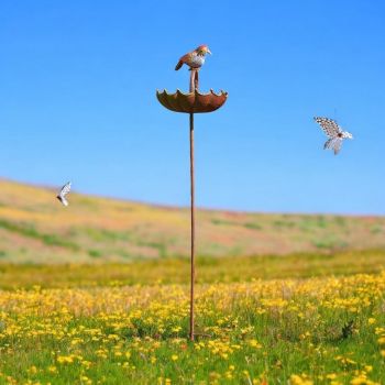 50 Inch Garden Birdfeeder Stake - Metal - L25 x W25 x H127 cm