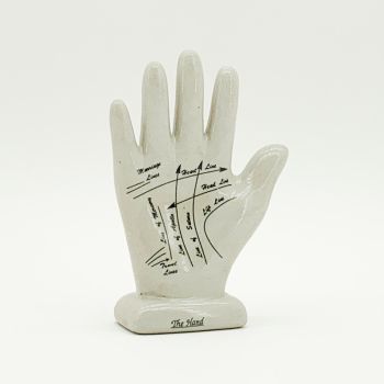 7 Inches Palmistry Hand Ornament - L6 x W8 x H17 cm