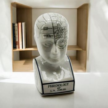 12 Inch Phrenology Head Ornament - Ceramic - L12 x W14 x H28 cm
