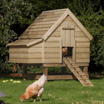 Large Chicken Coop - Timber -  L119.5 x W158 x H160 cm