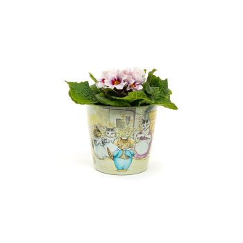 Beatrix Potter Peter Rabbit Eco Pots Set 2 - L13 x W13 x H12.5 cm