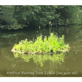 Buttercup Waterfowl Island - 4 module - L800 x W100 cm