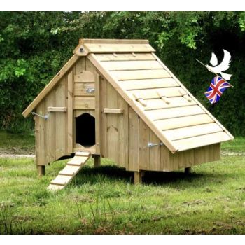 Aldeburgh 1600 Chicken Coop - Solid Thick Marine Grade Ply - L165 x W160 x H145 cm 