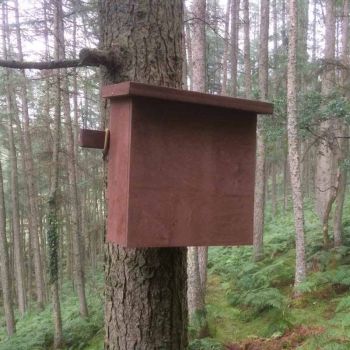Pine Marten Den Box - Plywood - L27 x W56 x H57 cm