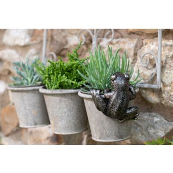 Frog Plant Pot Hanger - L10.5 x W11 x H5 cm