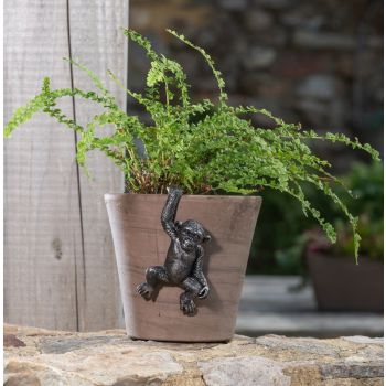 Chimpanzee Plant Pot Hanger - L11.5 x W7 x H4.5 cm