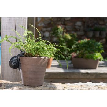 Snail Plant Pot Hanger - L10.5 x W5 x H7 cm