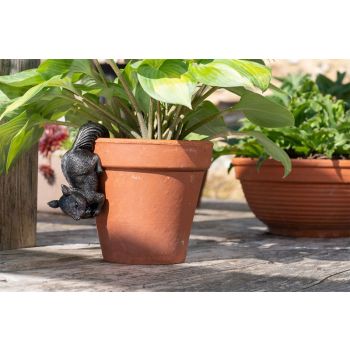 Red Squirrel Plant Pot Hanger - L13 x W4.5 x H7 cm