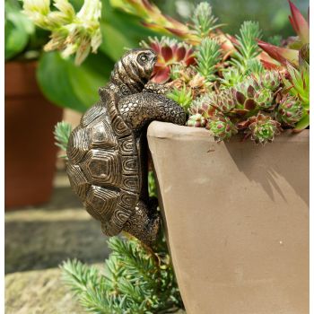 Tortoise Plant Pot Hanger - L11 x W6 x H7.5 cm