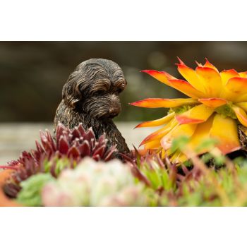 Antique Bronze Coloured Cockapoo Pot Buddy Plant Pot Hanger - L11 x W5.5 x H4.5 cm