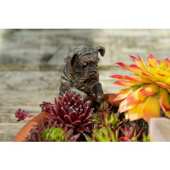 English Bulldog Plant Pot Hanger