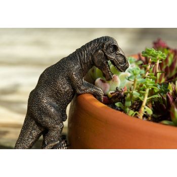 Tyranasaurus Rex Plant Pot Hanger