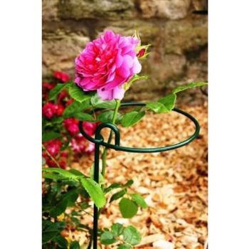 Large Bunch Support Rust (Pack of 4) - Steel - L30.5 x W30.5 x H86 cm - Bare Metal/Ready to Rust