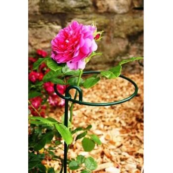 Small Bunch Support Rust (Pack of 4) - Steel - L15 x W15 x H86 cm - Bare Metal/Ready to Rust