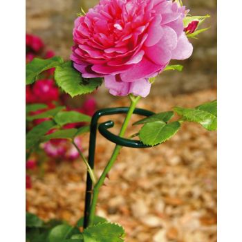 Small Single Stem Support (Pack of 4) - Steel - L5.1 x W5.1 x H61 cm - Green