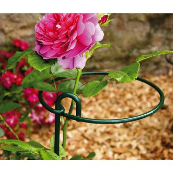 Medium Bunch Support (Pack of 4) - Steel - L23 x W22.9 x H86 cm - Green
