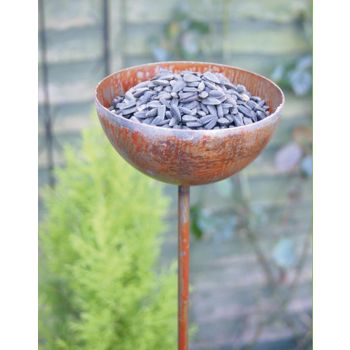 Bowl Plant Pin 4Ft (Bare Metal/Natural Rust) (Pack of 3) - Steel - H120 cm