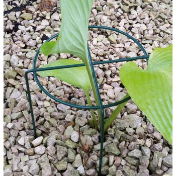 Medium Simple Ring (Pack of 4) - Steel - L40.6 x W40.6 x H50.8 cm - Green