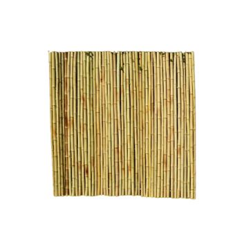 Roll Screen for Garden Fencing - Bamboo - L200 x W3 x H200 cm  - Moso