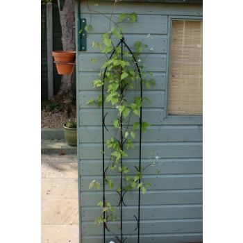 Single Gothic Screen Bare Metal/Ready to Rust - Steel - L2 x W24 x H180 cm