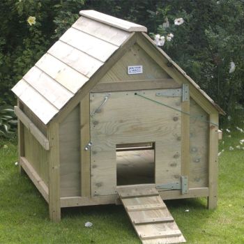 Standard Duck House