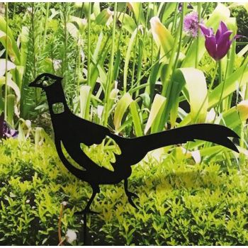 Pheasant - Steel - W41.9 x H33 cm - Black