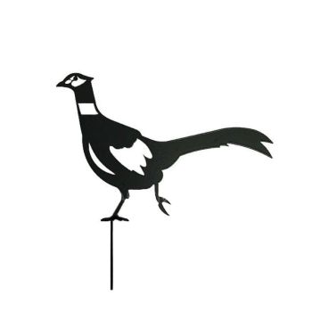 Pheasant - Steel - W41.9 x H33 cm - Bare Metal/Ready to Rust