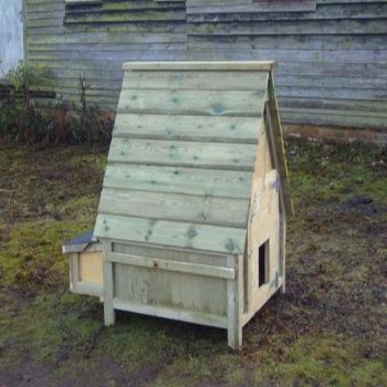 Swiss Chalet - Up to 12 hens