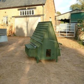 Swiss Chalet House - up to 20 Hens