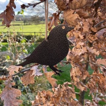 Hanging Finch Garden Art (Pack of 3) - W20 x H13 cm - Black