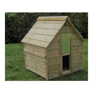 Campbell Duck House - up to 6 Ducks, Quality pressure treated timber waterfowl house, aylesbury, Indian runner, call ducks.