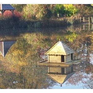 Large Square Indian Runner Floating Duck House, Waterfowl Nesting Box for Pond or Lake
