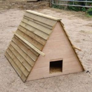 Standard Duck Ark - L121.9 x W91.4 x H91.4 cm